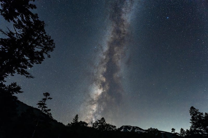Garden with Milky Way